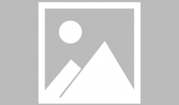 一周的朋友动漫,揭秘校园里的神秘情感纠葛